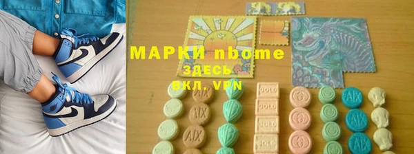 индика Переславль-Залесский