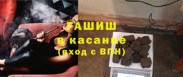 индика Переславль-Залесский