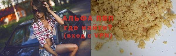 индика Переславль-Залесский