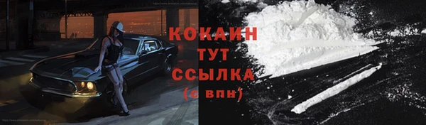 индика Переславль-Залесский