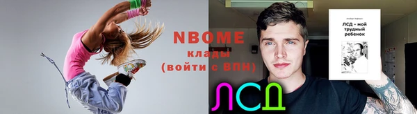 индика Переславль-Залесский