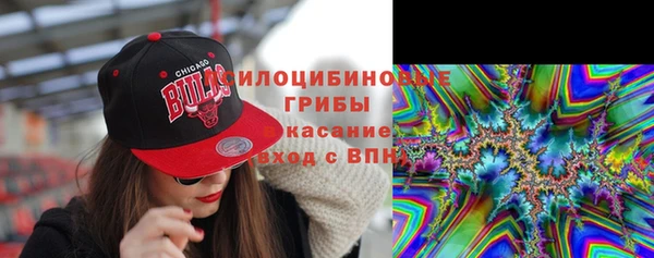 индика Переславль-Залесский